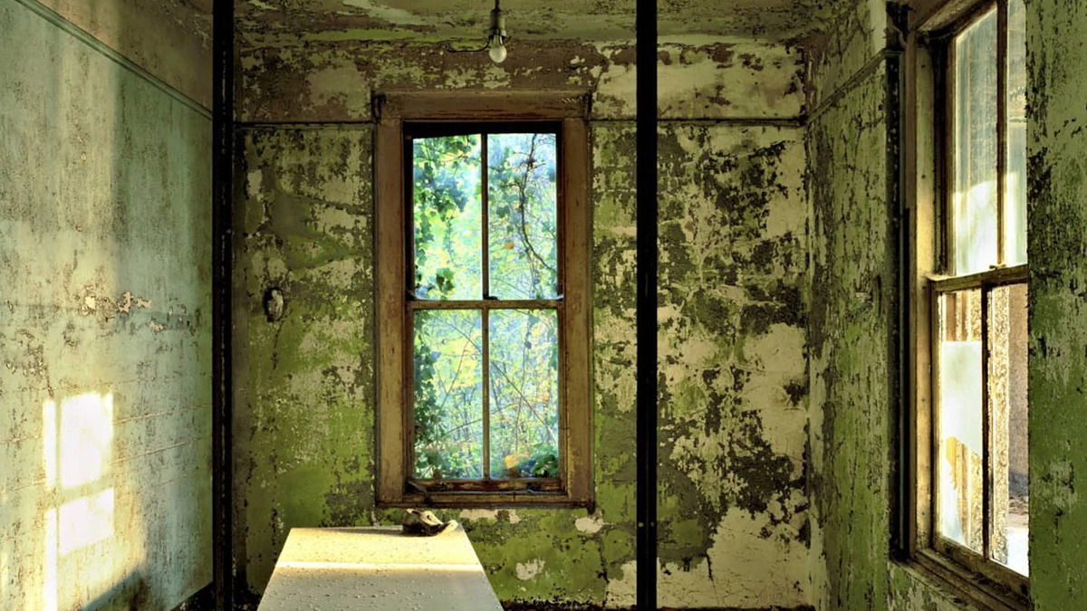 Exemplo prático de fotografia impressa com técnicas profissionais