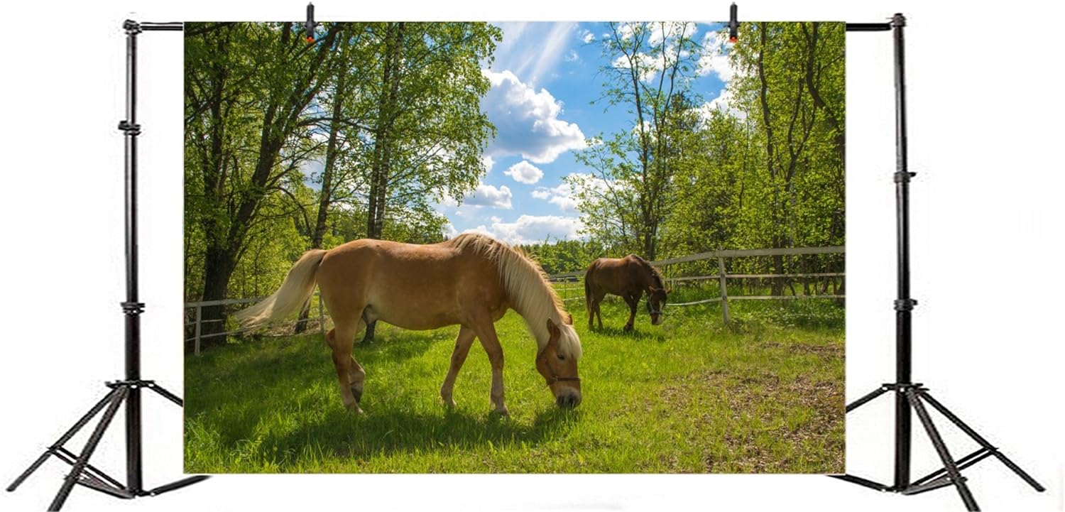 Fundo para fotos de produtos de moda usando um tecido colorido e vibrante