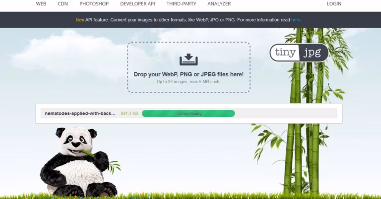 Smaller Product Images Win: WebP/AVIF, Crops, Core Web Vitals